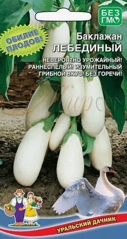 Баклажан Лебединый // Уральский Дачник