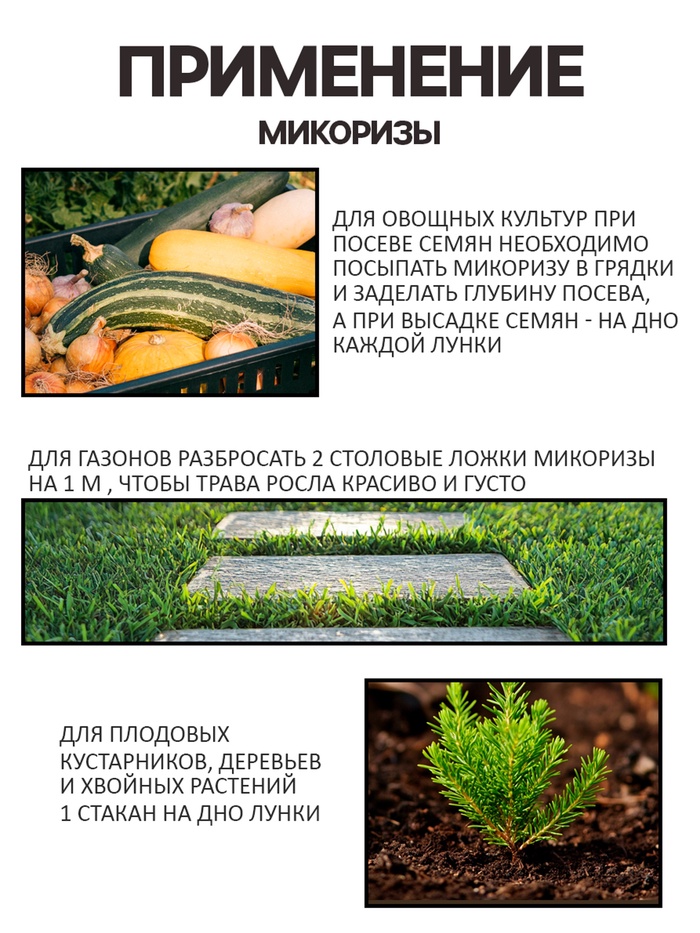Микориза на вермикулите «Рецепты Дедушки Никиты», 250 мл