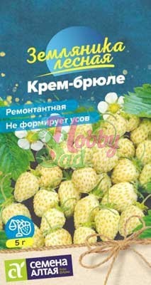 Земляника Крем-брюле желтая ремонтантная (0,03 г) Семена Алтая НОВИНКА