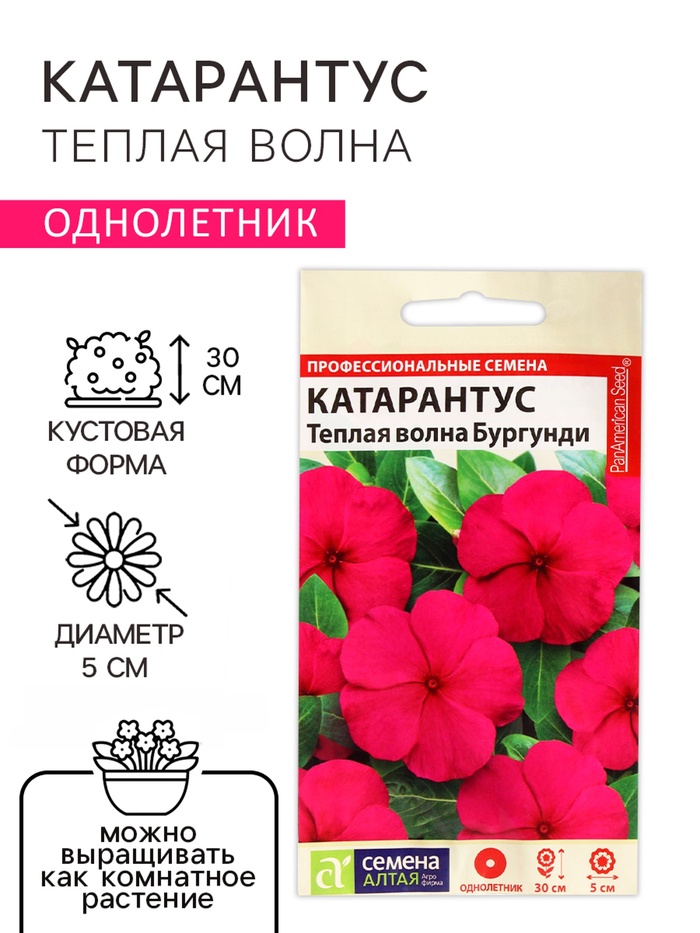 Семена цветов Катарантус