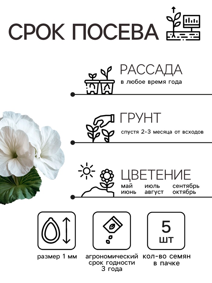 Семена комнатных цветов Глоксиния