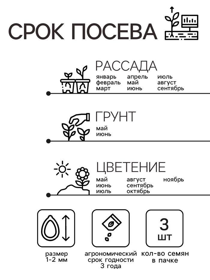 Семена комнатных цветов Пеларгония