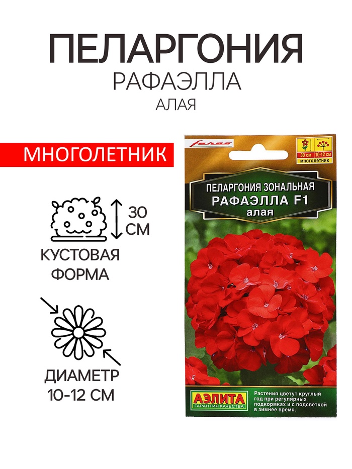 Семена цветов Пеларгония