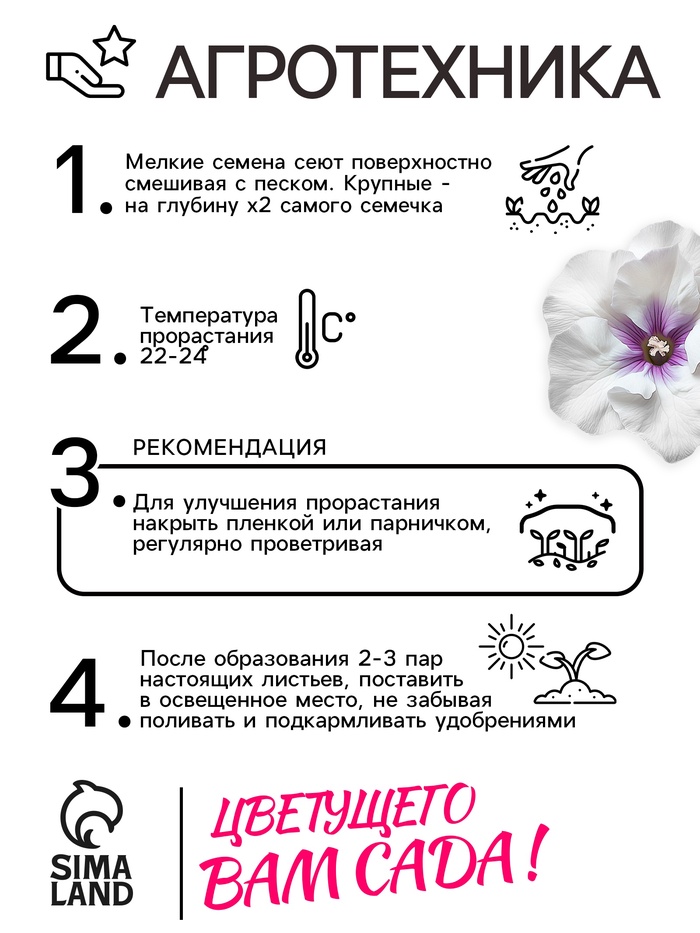 Семена комнатных цветов Глоксиния Аванти