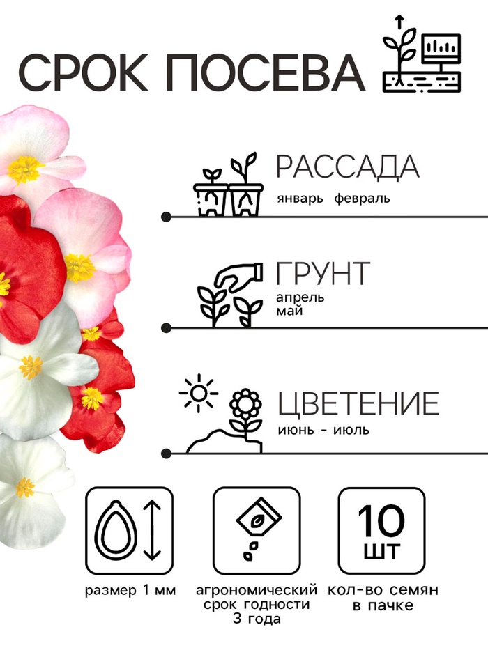 Семена цветов Бегония вечноцветущая