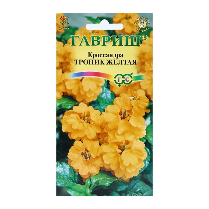 Семена цветов Кроссандра