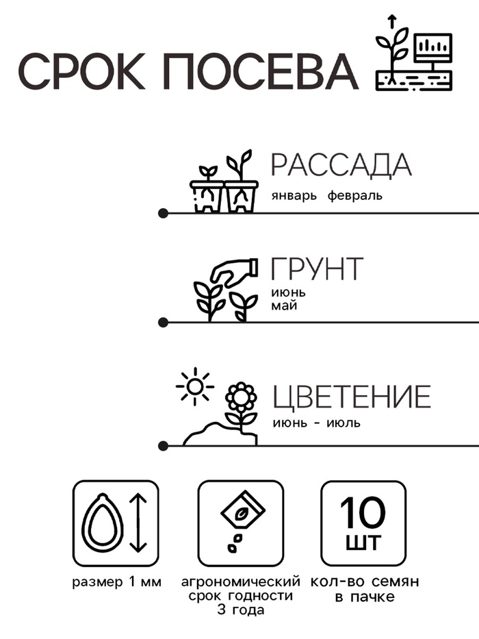 Семена комнатных цветов Бегония