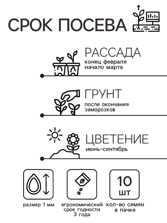 Семена цветов Катарантус Пацифика