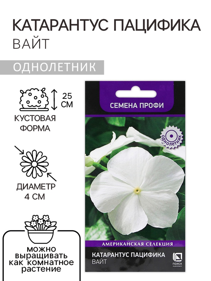 Семена цветов Катарантус Пацифика