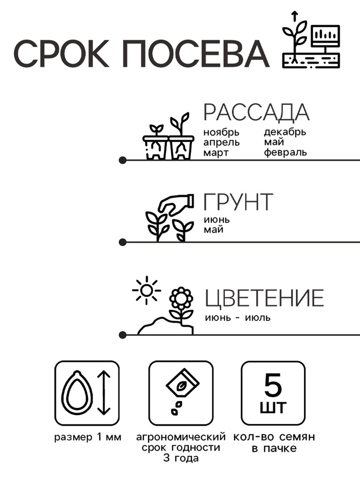 Семена комнатных цветов Гербера