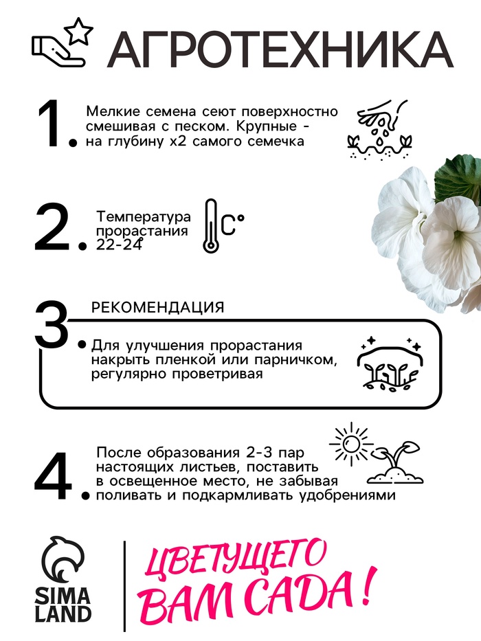 Семена комнатных цветов Глоксиния