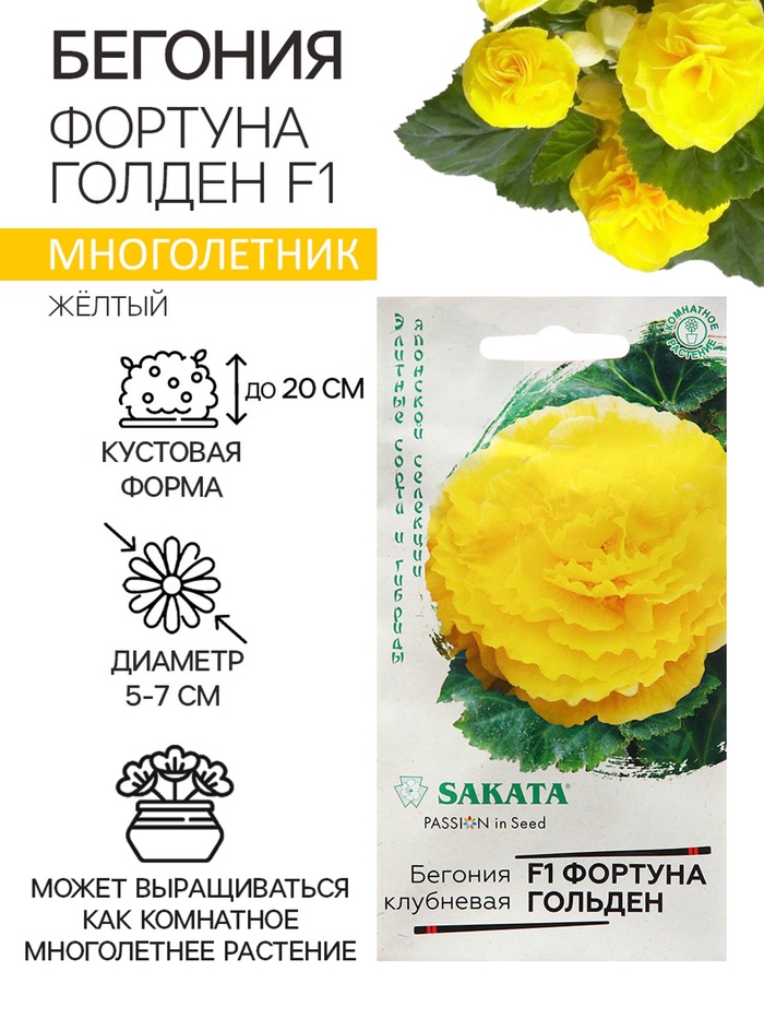 Семена Бегония
