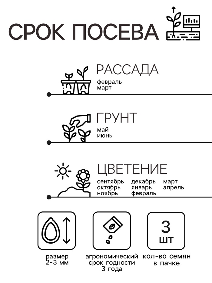 Семена комнатных цветов Цикламен