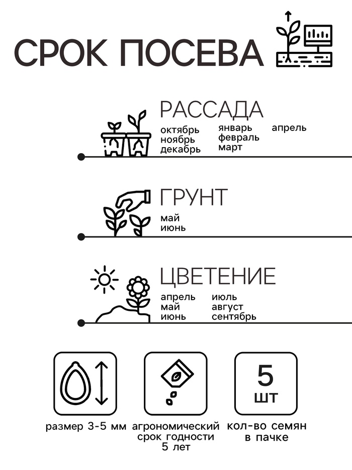 Семена цветов Пеларгония