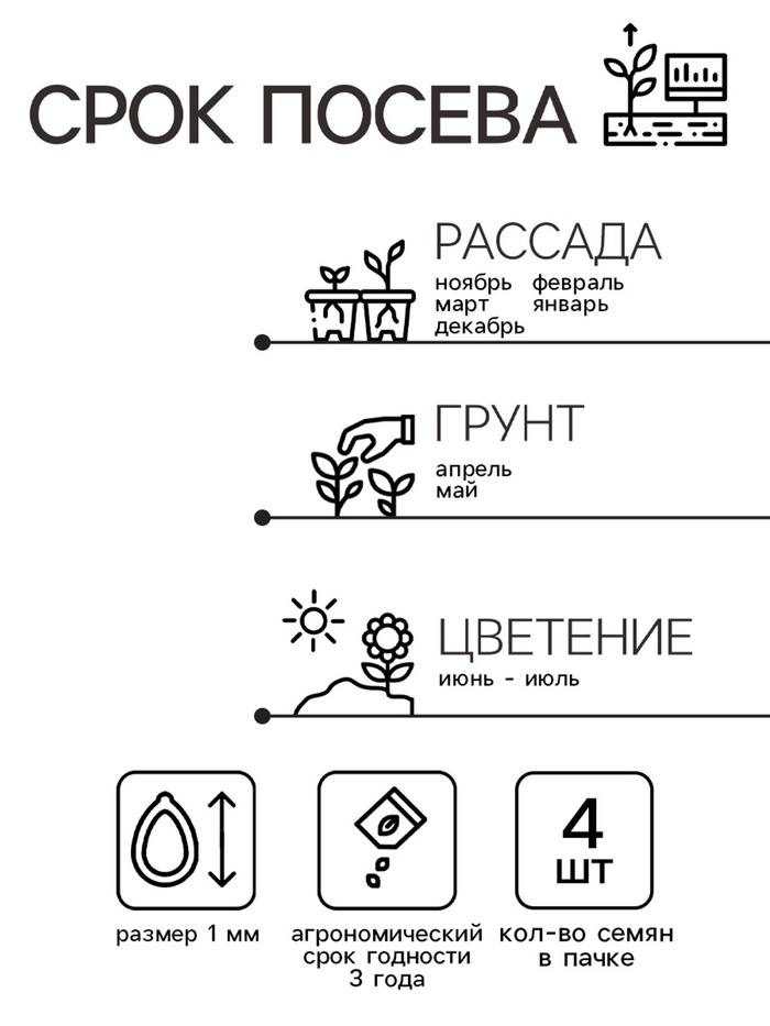 Семена комнатных цветов Бегония