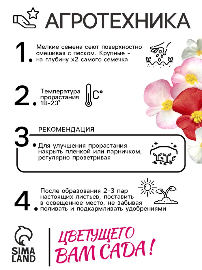 Семена цветов Бегония вечноцветущая