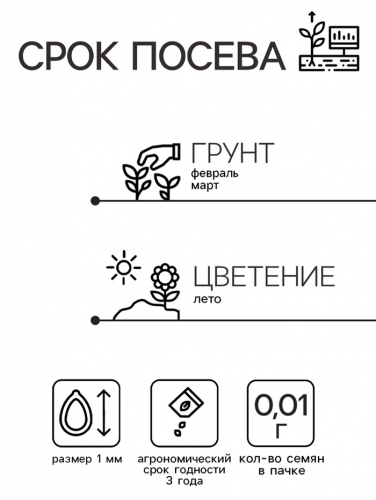 Семена цветов Катарантус 