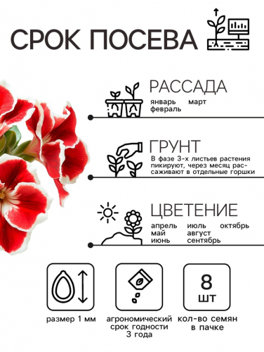 Семена комнатных цветов Глоксиния Аванти 