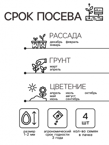 Семена комнатных цветов Пеларгония 