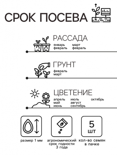 Семена комнатных цветов Глоксиния Брокада 