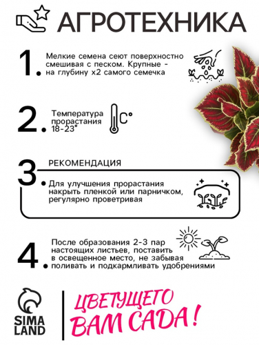 Семена цветов Колеус 