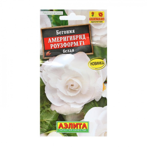 Семена Цветов Бегония 