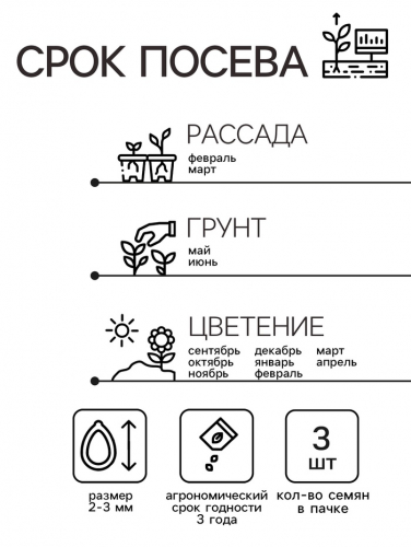 Семена комнатных цветов Цикламен 