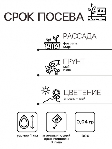 Семена комнатных цветов Гербера Джемсона 