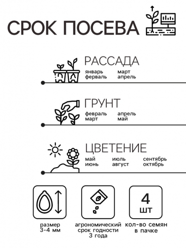 Семена комнатных цветов Пеларгония 