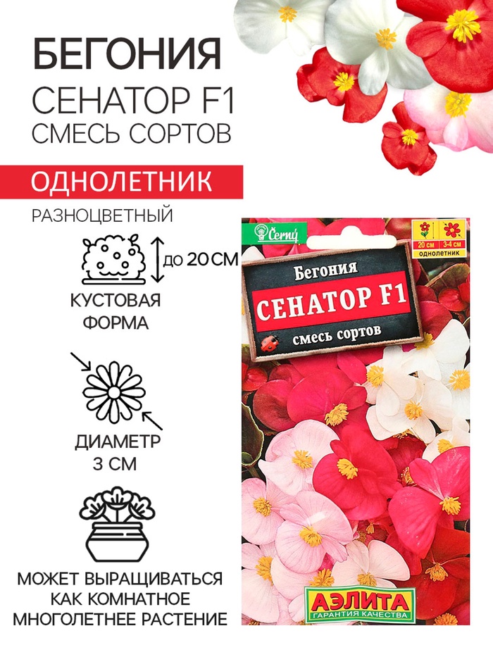 Семена цветов Бегония вечноцветущая