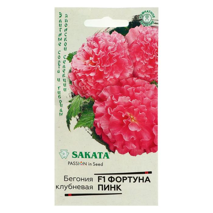 Семена цветов Бегония