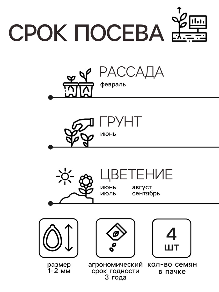 Семена комнатных цветов Пеларгония