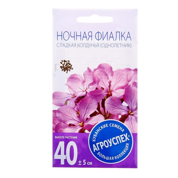 Семена цветов Ночная фиалка