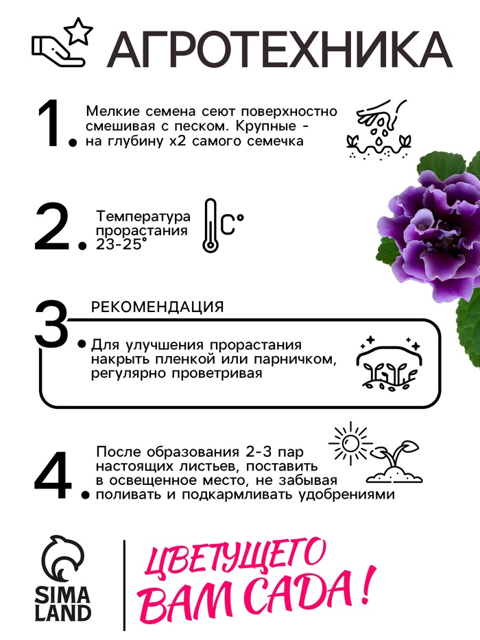Семена комнатных цветов Глоксиния Аванти