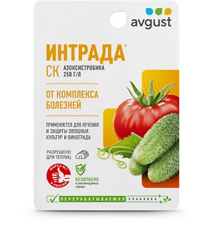 Интрада® фл. 10 мл / 80 шт Август (от фитофтороза и др. болезней)
