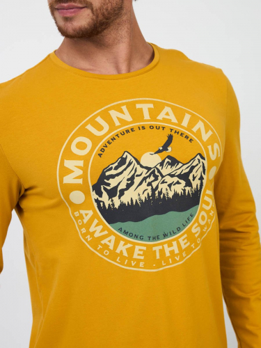 Футболка мужская арт. 02245/Mountains AS