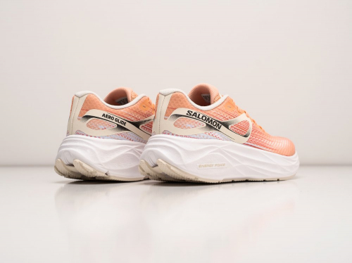 Кроссовки Salomon Aero Glide