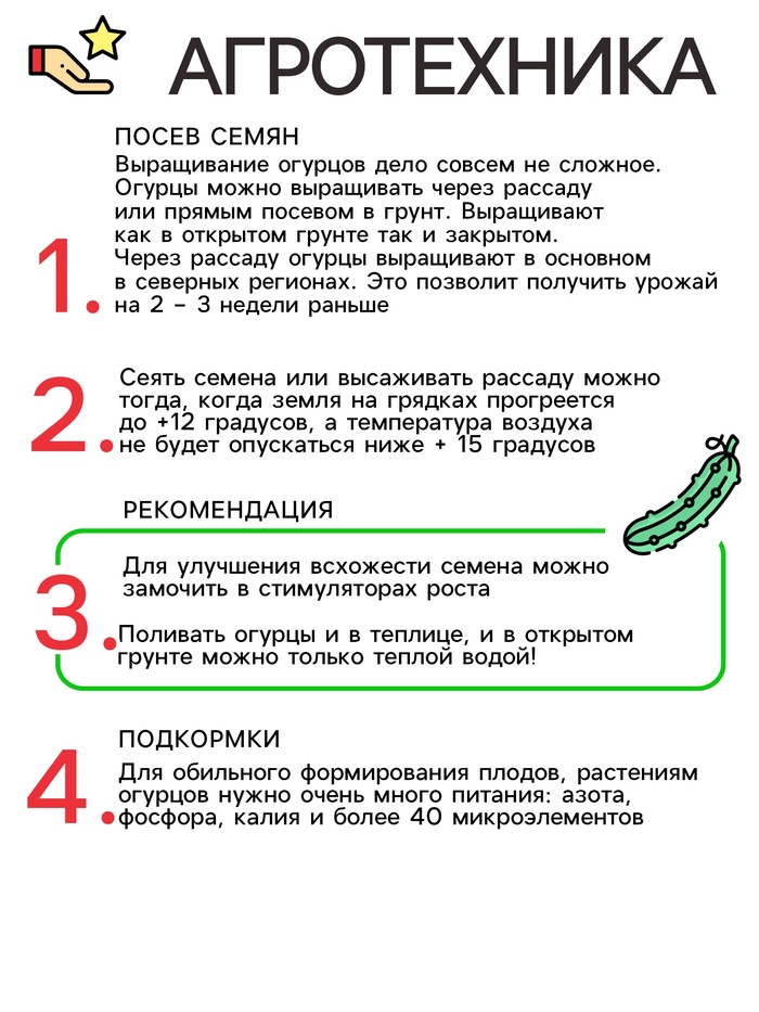 Семена Огурец