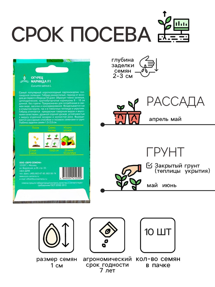 Семена Огурец