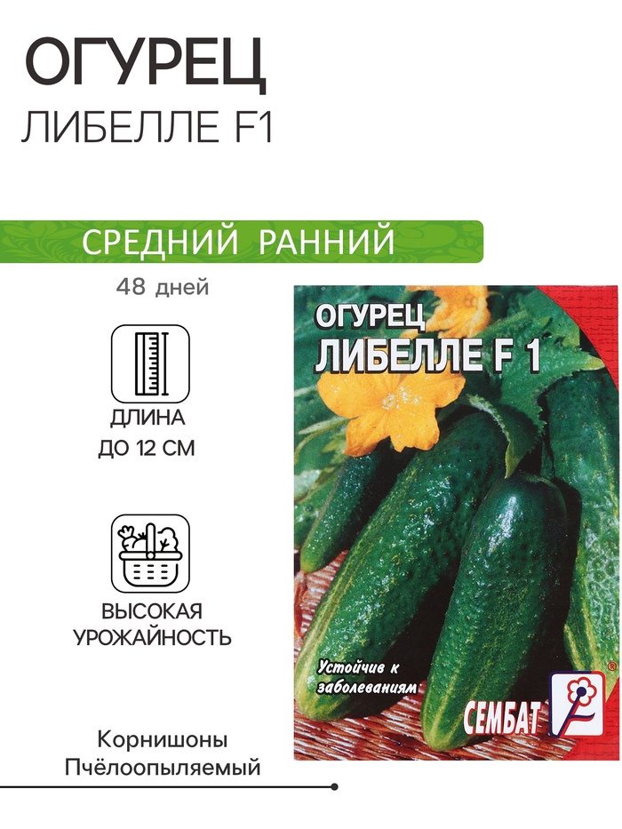 Семена Огурец
