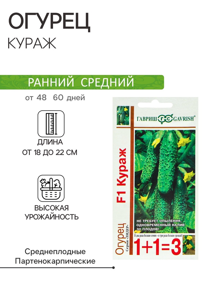 Семена Огурец