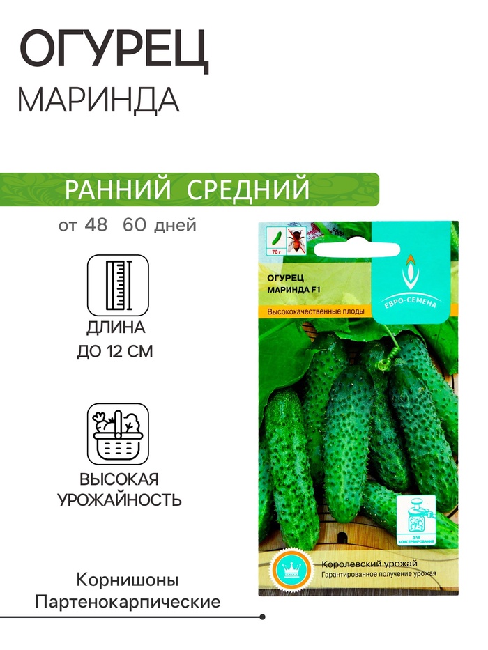 Семена Огурец