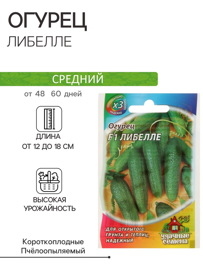 Семена Огурец
