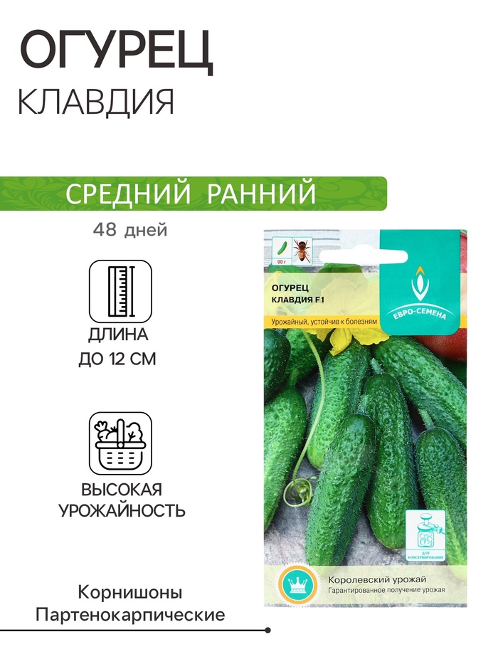Семена Огурец