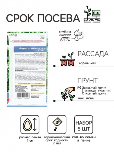 Семена огурца 