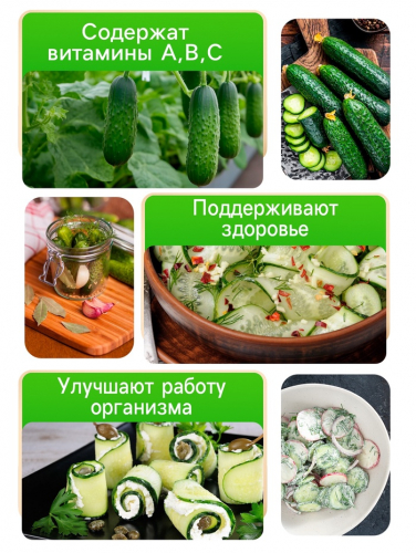 Семена Огурец 