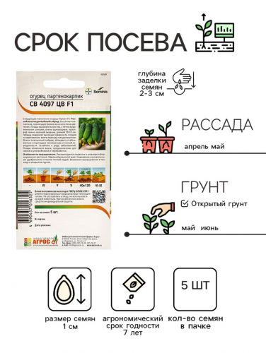 Семена Огурец