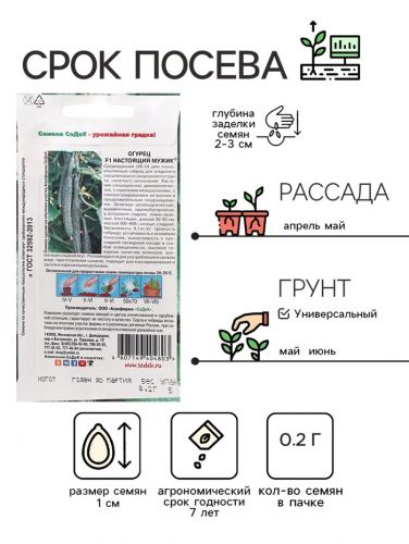 Семена Огурец  