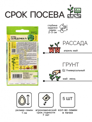 Семена Огурец 