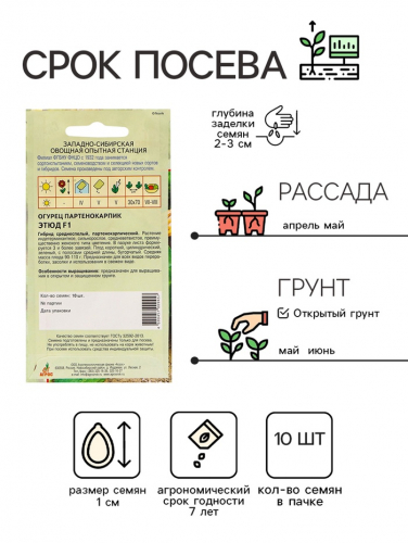 Семена Огурец